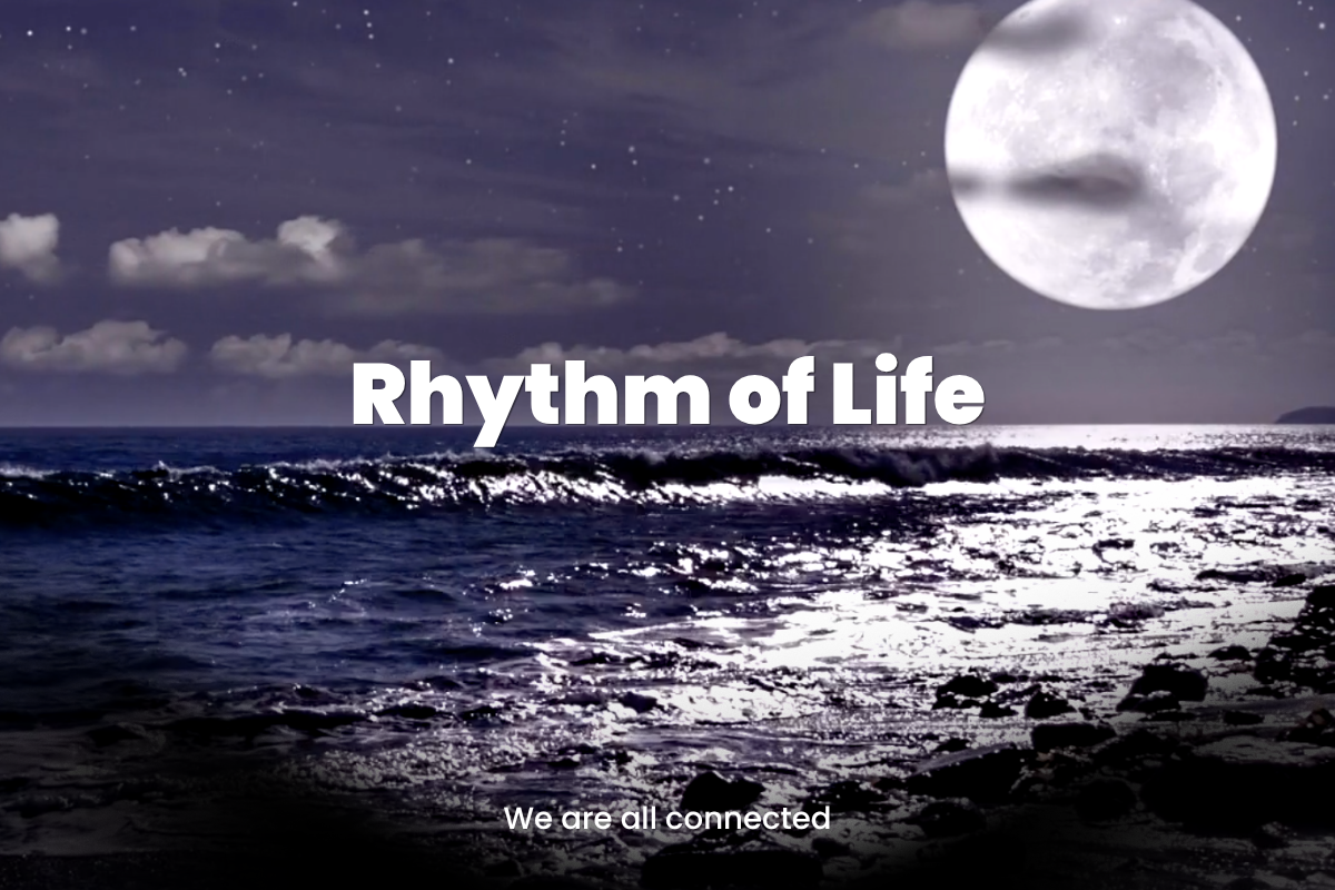 The moon rises over the see, the single cover for Rhythm of Life by Elarpee, an extended melodic techno mix